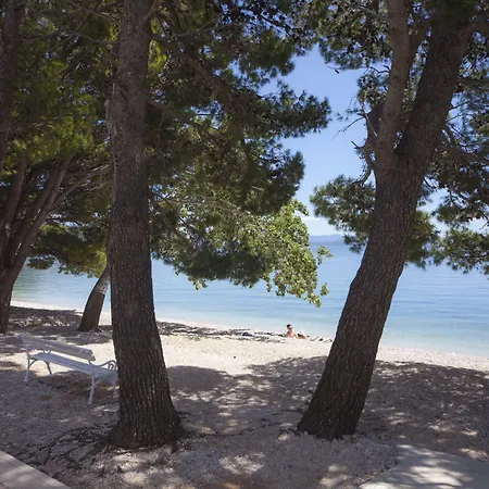 Bluesun Village Afrodita