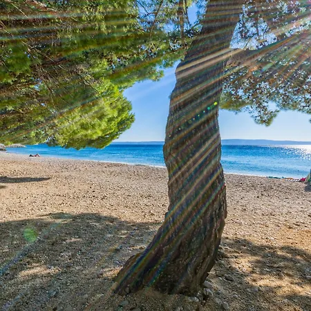 Bluesun Village Afrodita Hotel 4*