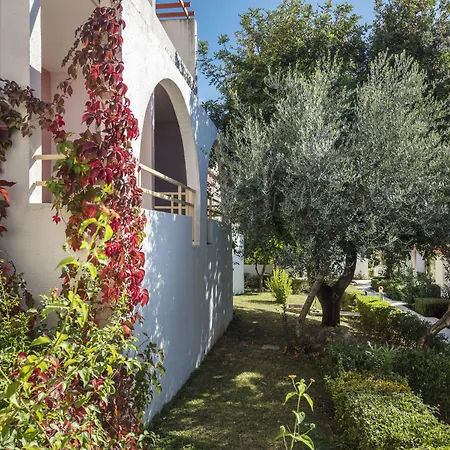 Bluesun Village Afrodita 4*