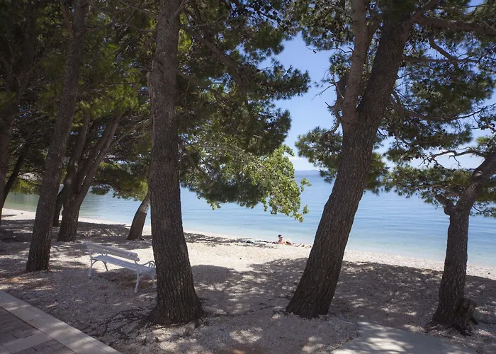 Bluesun Village Afrodita