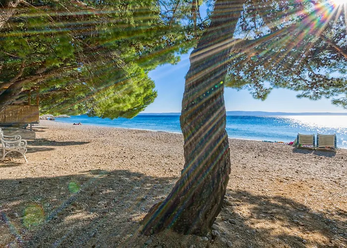 Bluesun Village Afrodita Szálloda 4*