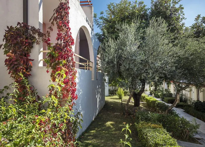 Bluesun Village Afrodita 4*